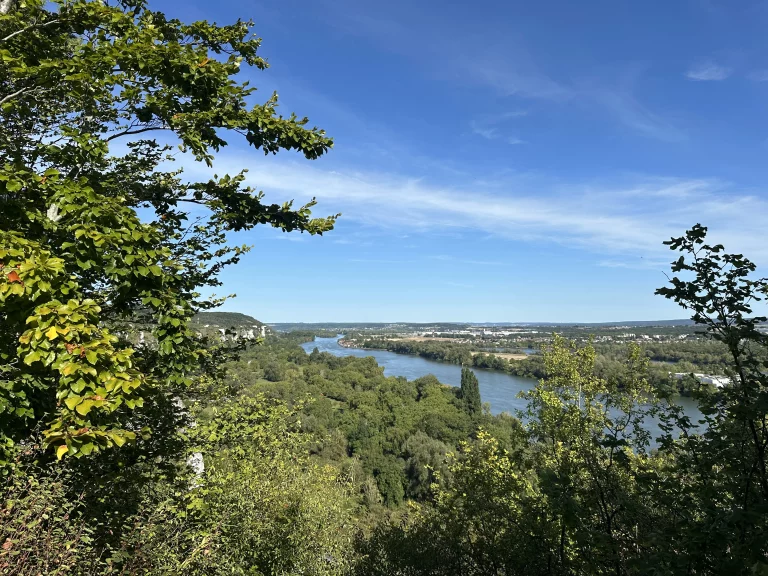Forêt de La Londe-Rouvray : Une Trésor Naturel aux Portes de Rouen