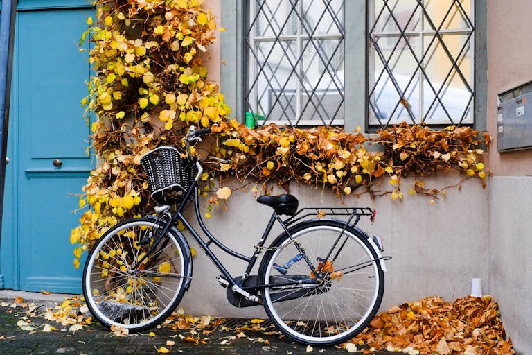Automne en Seine-Maritime