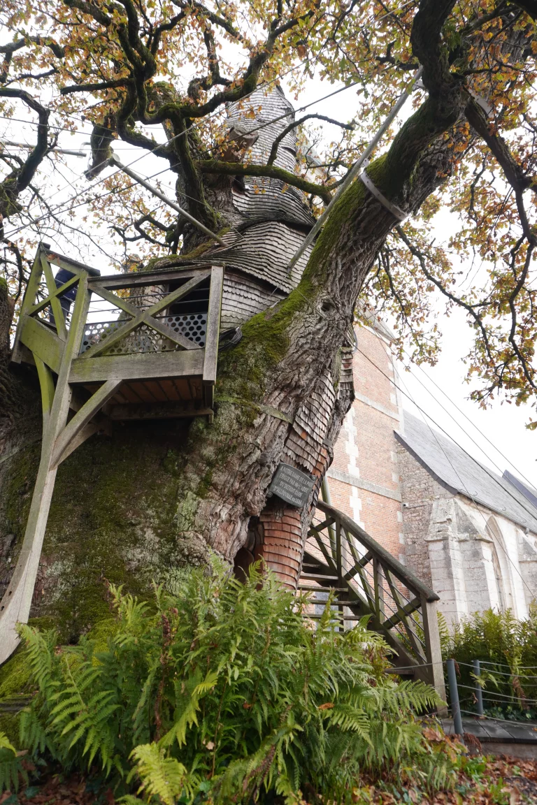 Visiter Allouville-Bellefosse : que faire dans ce charmant village normand ?