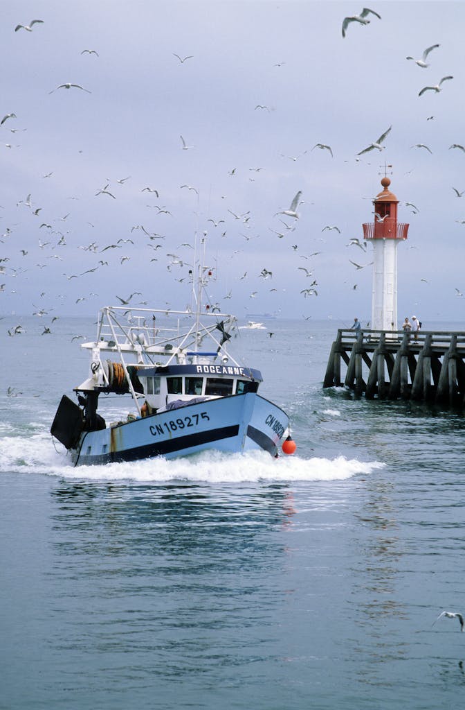 Fishing boat navigating near a lighthouse in Guilvinec, France surrounded by seagulls.