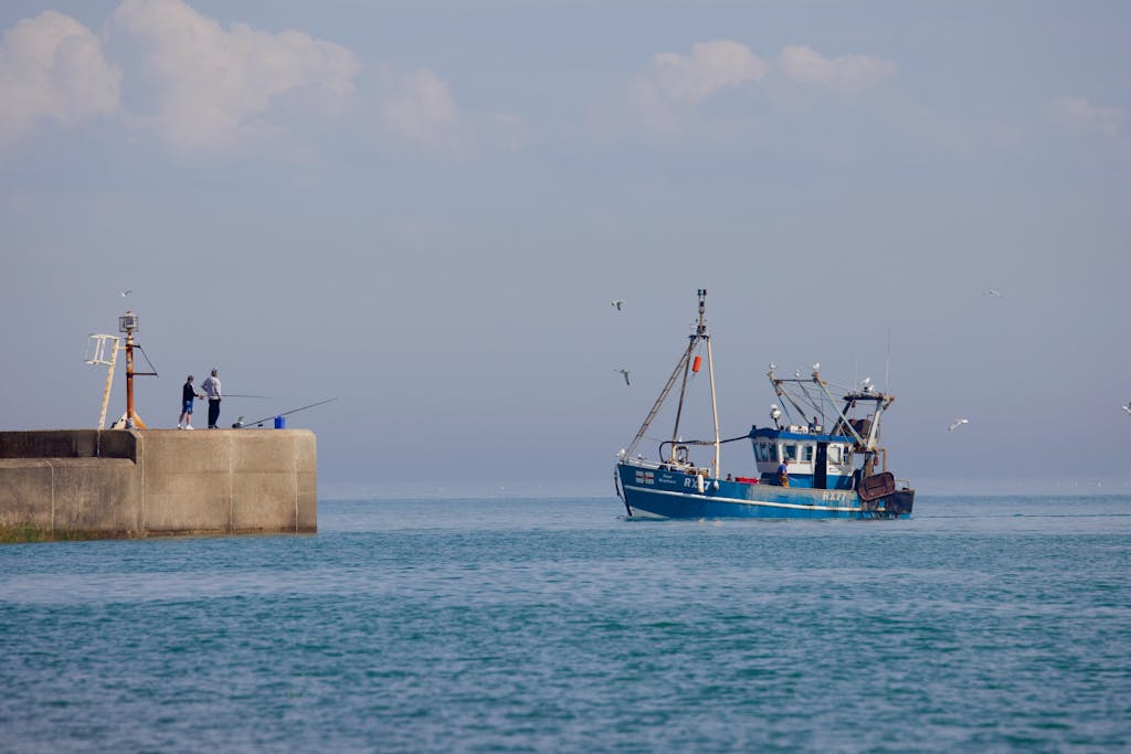 Fishing boat nearing a pier with two anglers casting lines under a clear sky, surrounded by seagulls.