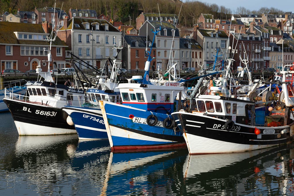 Vibrant fishing boats moored in the historic harbor of Le Tréport, Normandy, France.