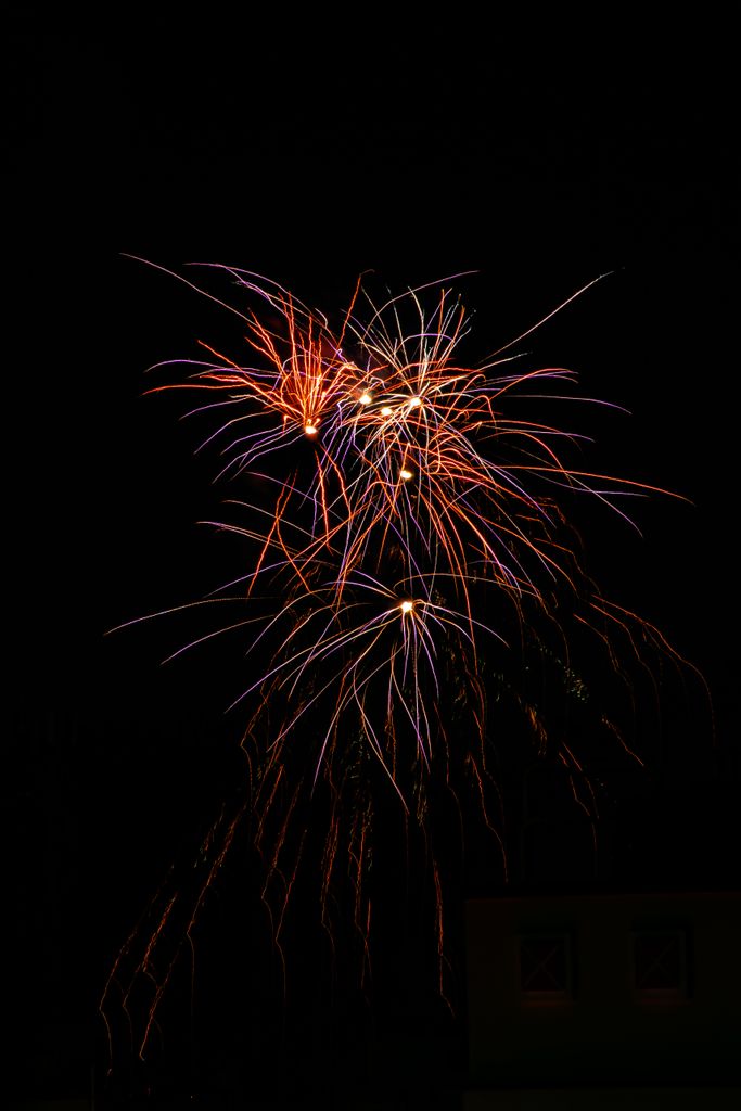 Vibrant fireworks illuminate the night sky, capturing a festive celebration.