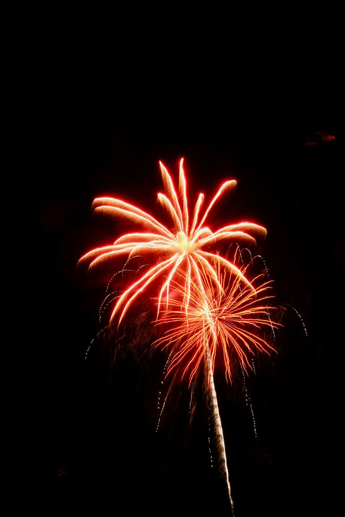 Vibrant fireworks illuminating the dark night sky in a dazzling display of color.